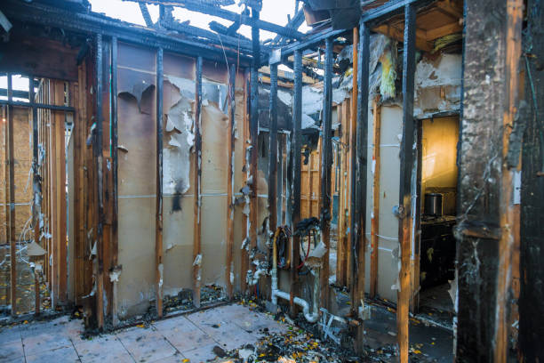 Professional Smoke Damage Removal technician working in Trenton, IL
